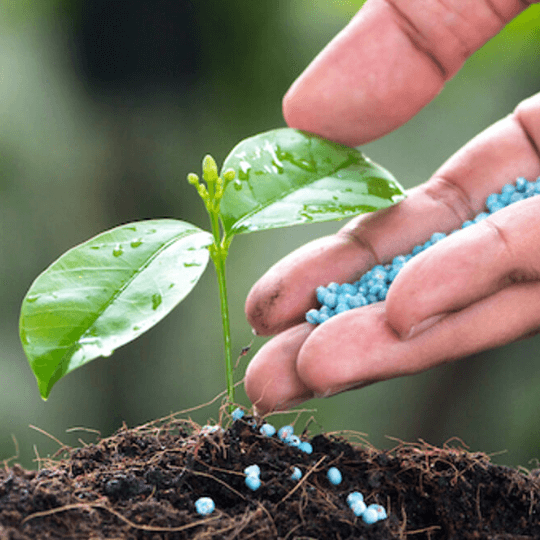 plant growth regulators for crop protection pest control chemicals