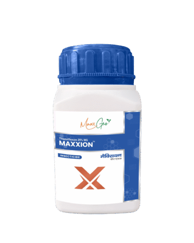 Maxxion