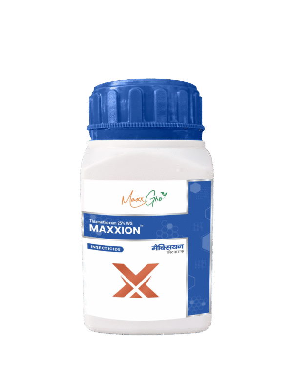 Maxxion