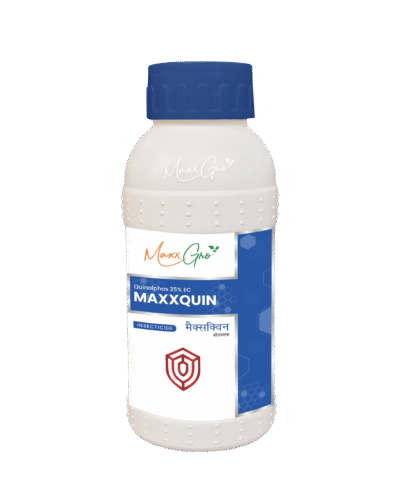 Maxxquin