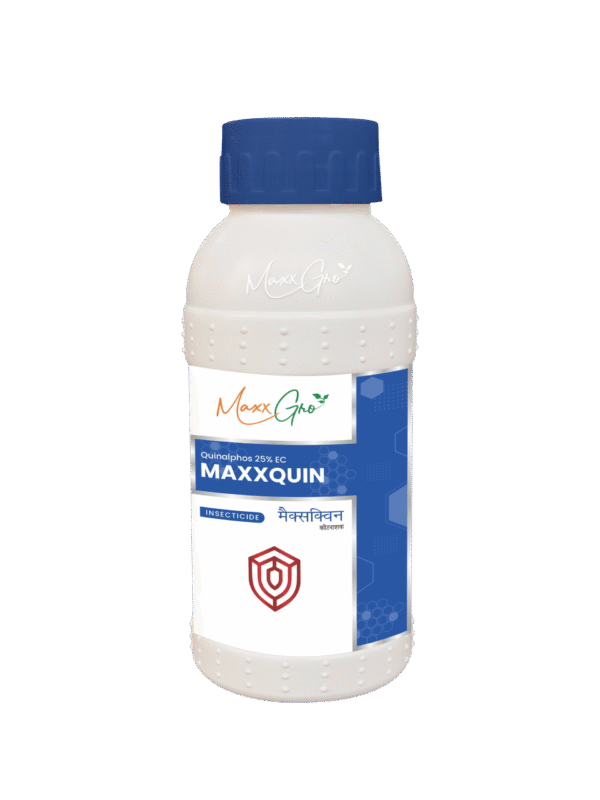 Maxxquin