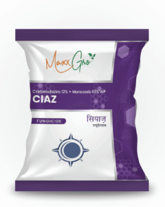 Ciaz