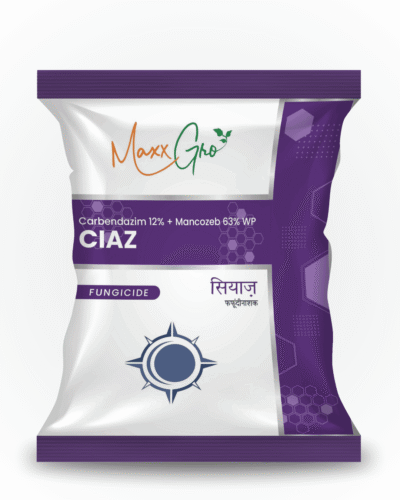 Ciaz