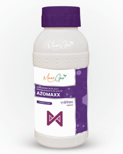 Azomaxx