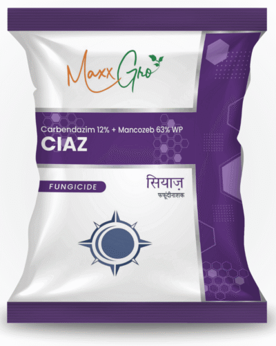 Ciaz