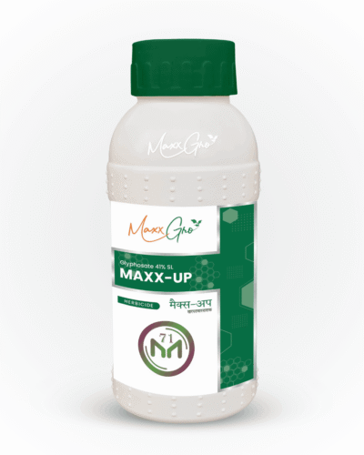 Maxx Up