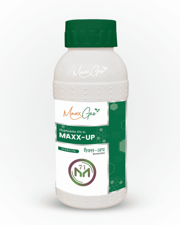 Maxx Up