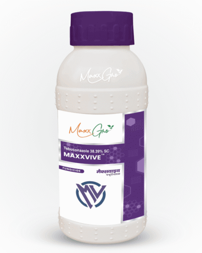 Maxxvive
