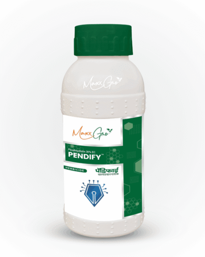Pendify
