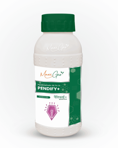 Pendify +