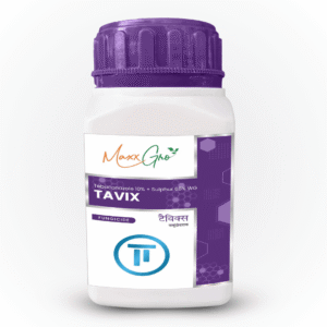 Tavix