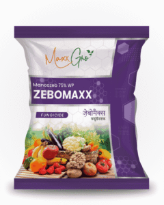 Zebomaxx