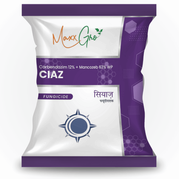 Ciaz - Image 2