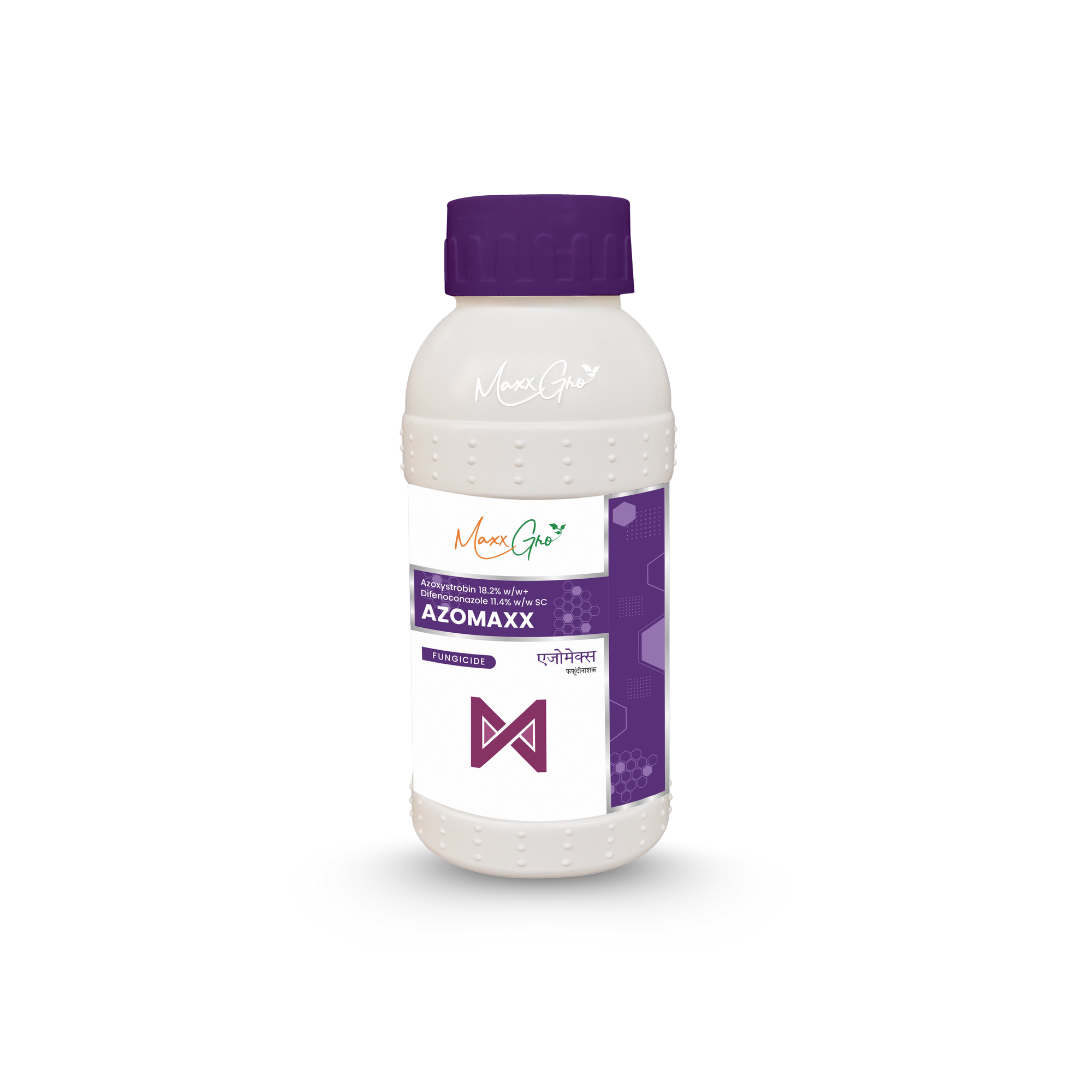 MaxxGro AZOMAXX fungicide bottle, containing Azoxystrobin 11% and Tebuconazole 18.3% SC, a combination fungicide offering broad-spectrum protective, curative, and eradicative control of major fungal diseases.