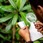 What are Agrochemicals? A MaxxGro Agrology Limited Perspective on Sustainable Crop Solutions