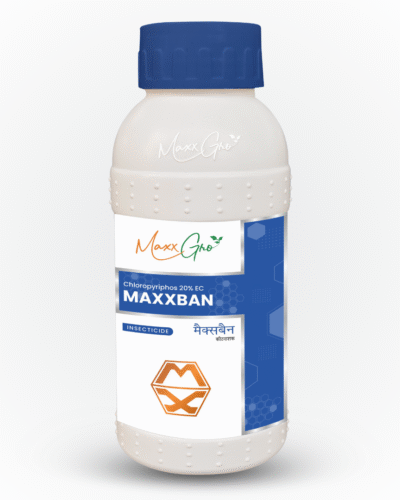 Maxxban