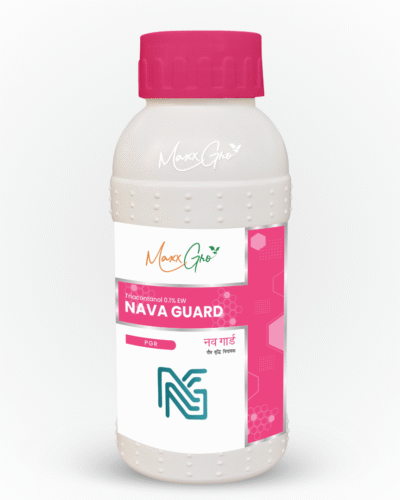 Nava Gaurd