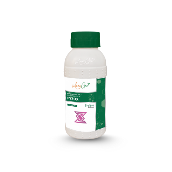 Fyzox