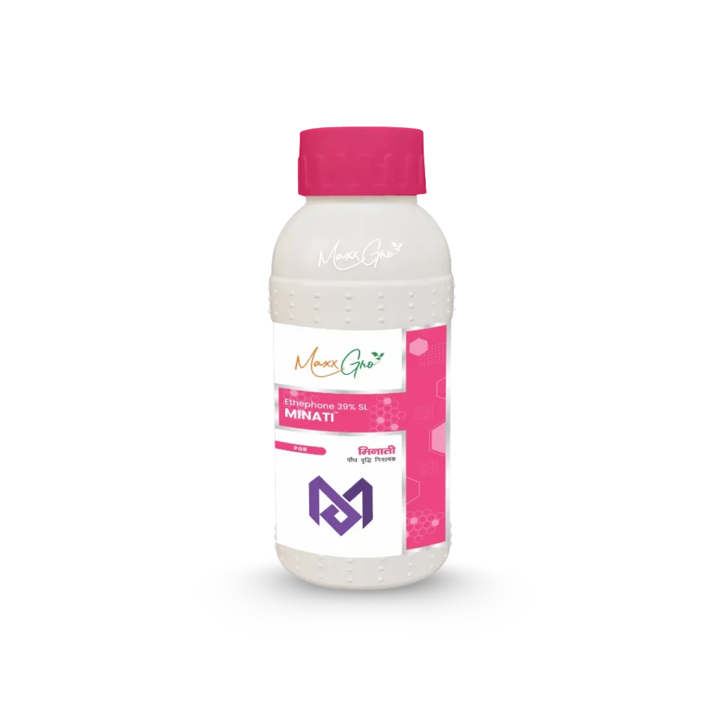 Minati plant growth regulator bottle by Maxxgro Agrology Limited, featuring the Ethephon 39% SL formulation.