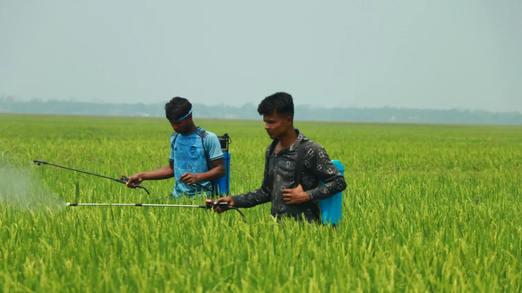 Two Indian farmers spraying crops in wheat and rice fields, with an agricultural drone spraying in the background and a solar-powered weather station. Overlay text reads "MODERN INDIAN AGRICULTURE, SUSTAINABLE & PRECISION FARMING, WEED CONTROL TECHNOLOGY" alongside the Deep Soil logo, representing Deep Soil Agrology Limited's solutions.
