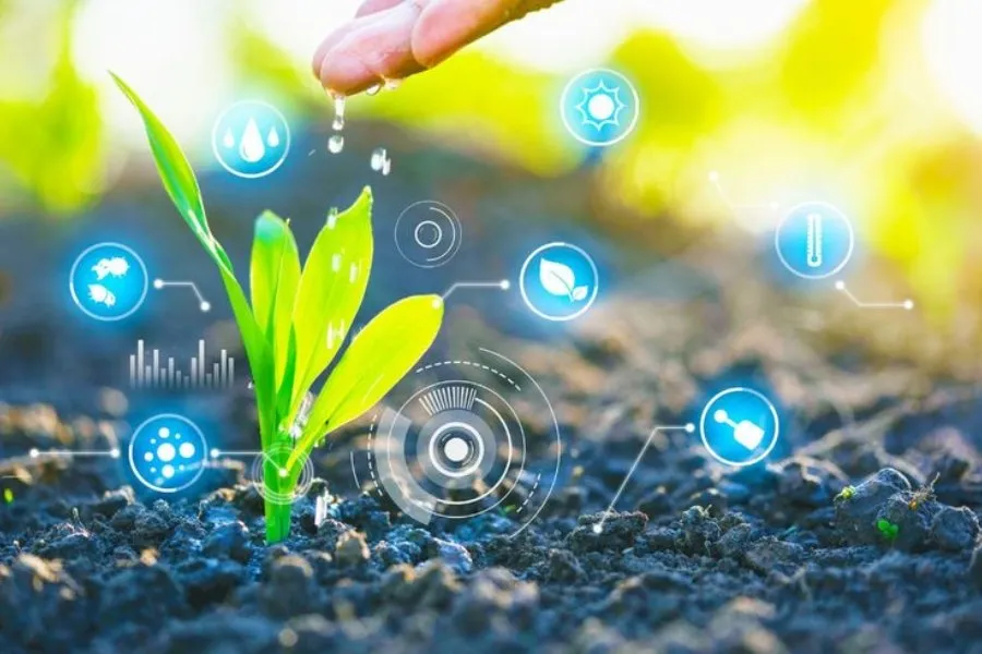 Close-up of a hand watering a small plant surrounded by glowing digital icons and data points, symbolizing MaxxGro's achievement in digital farming, precision care, and smart agrochemical application.