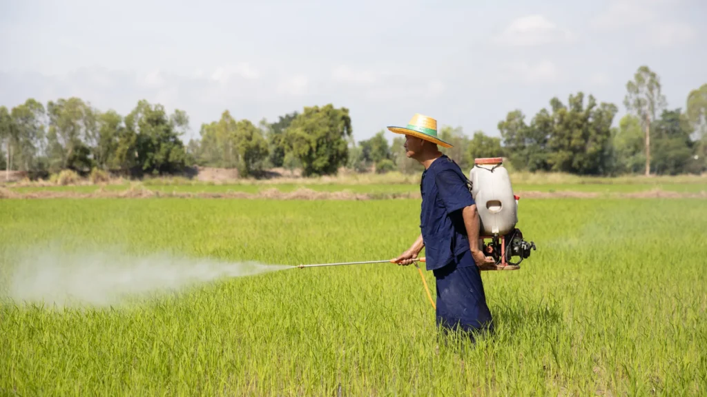Farmer applying professional crop protection services to a green field using a backpack sprayer.