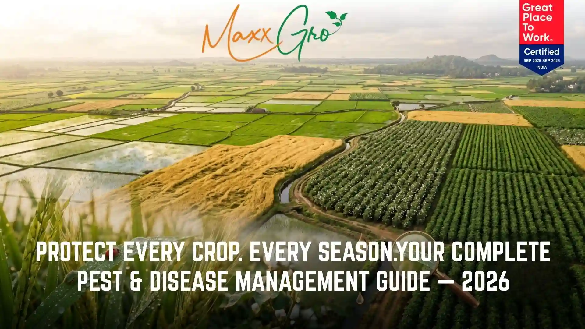 Comprehensive 2026 pest and disease management guide for Indian crops by Maxxgro Agrology Limited, featuring a scenic aerial view of lush green agricultural fields and a magnifying glass inspecting crops.