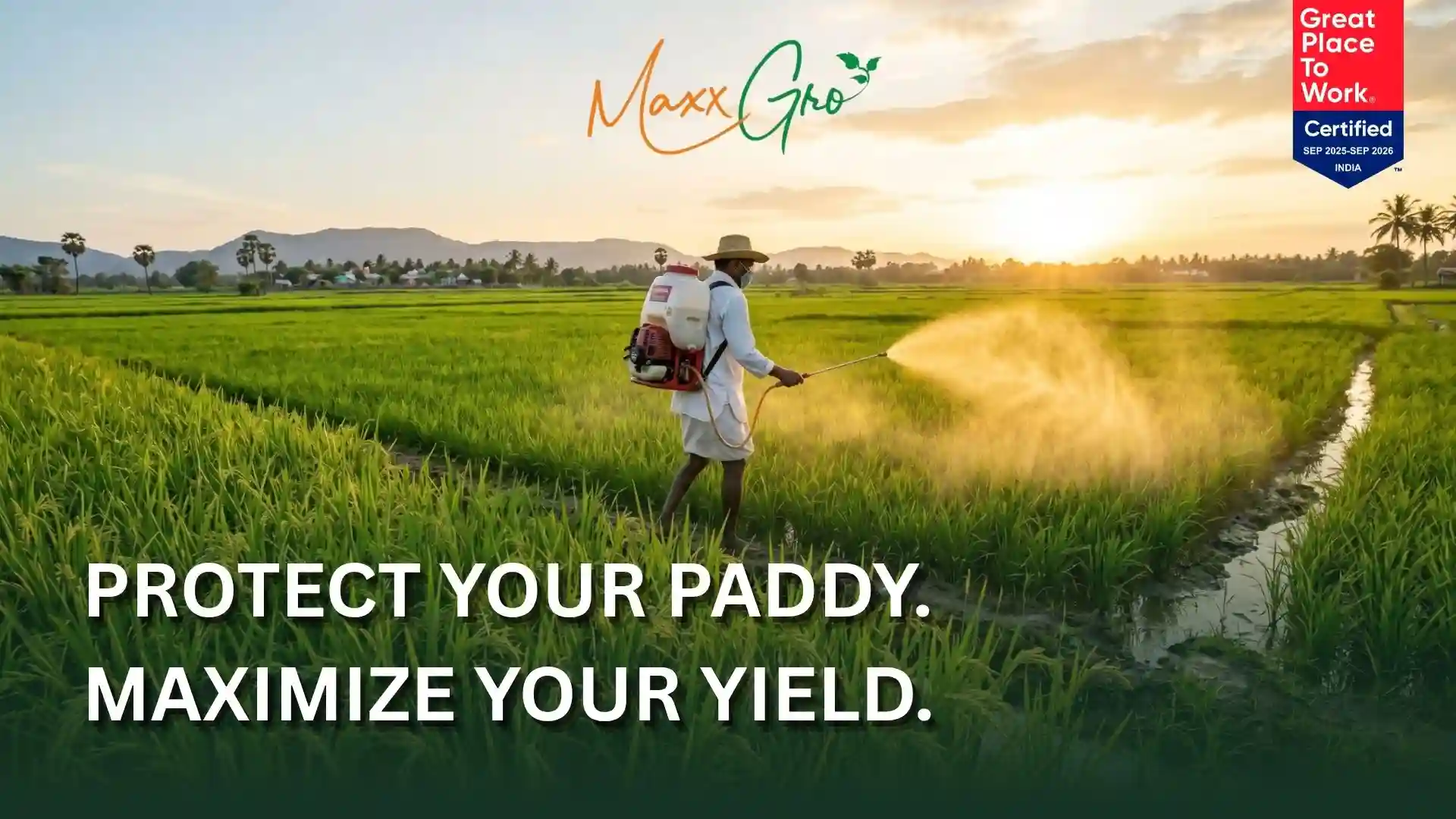 A farmer spraying the best fungicide for paddy crop in India 2026 to protect rice plants from blast and blight disease.