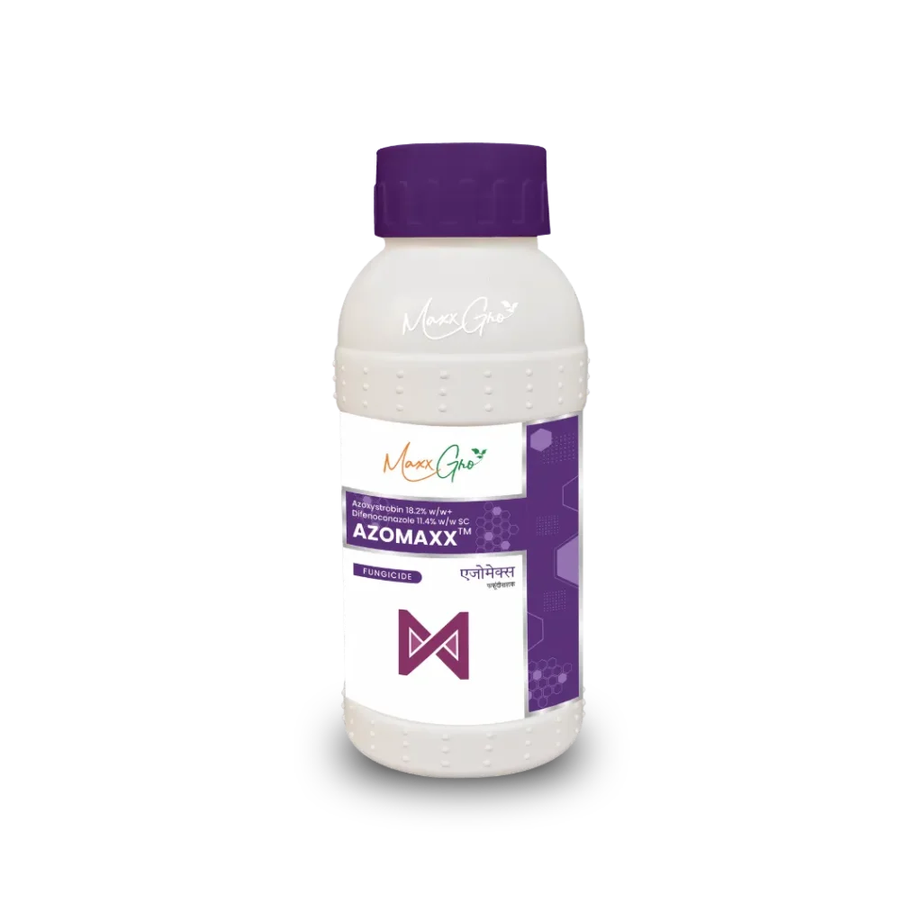 Azomaxx Azoxystrobin 18.2% + Difenoconazole 11.4% SC fungicide bottle pack by MaxxGro Agrology Limited