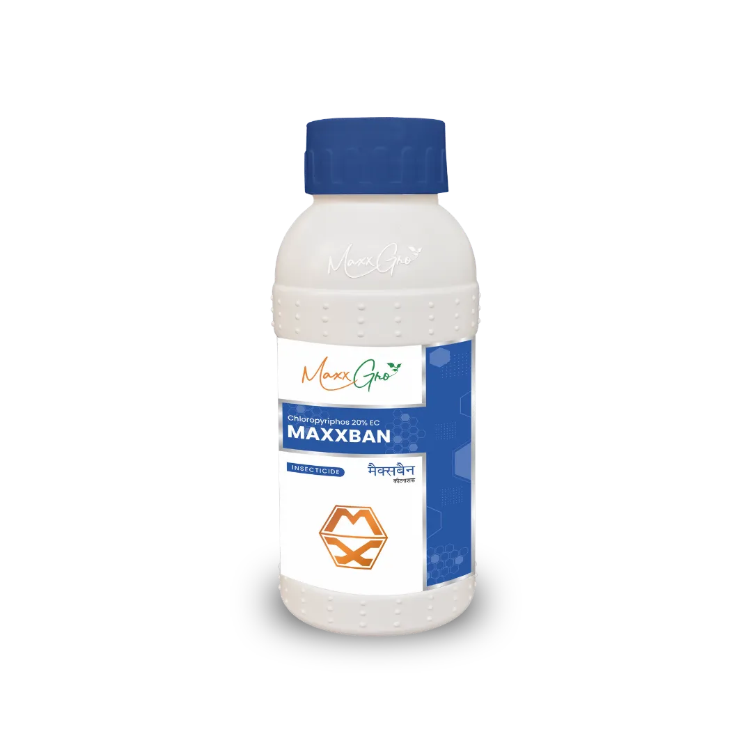 Maxxban Chlorpyriphos 20% EC insecticide bottle pack by MaxxGro Agrology Limited