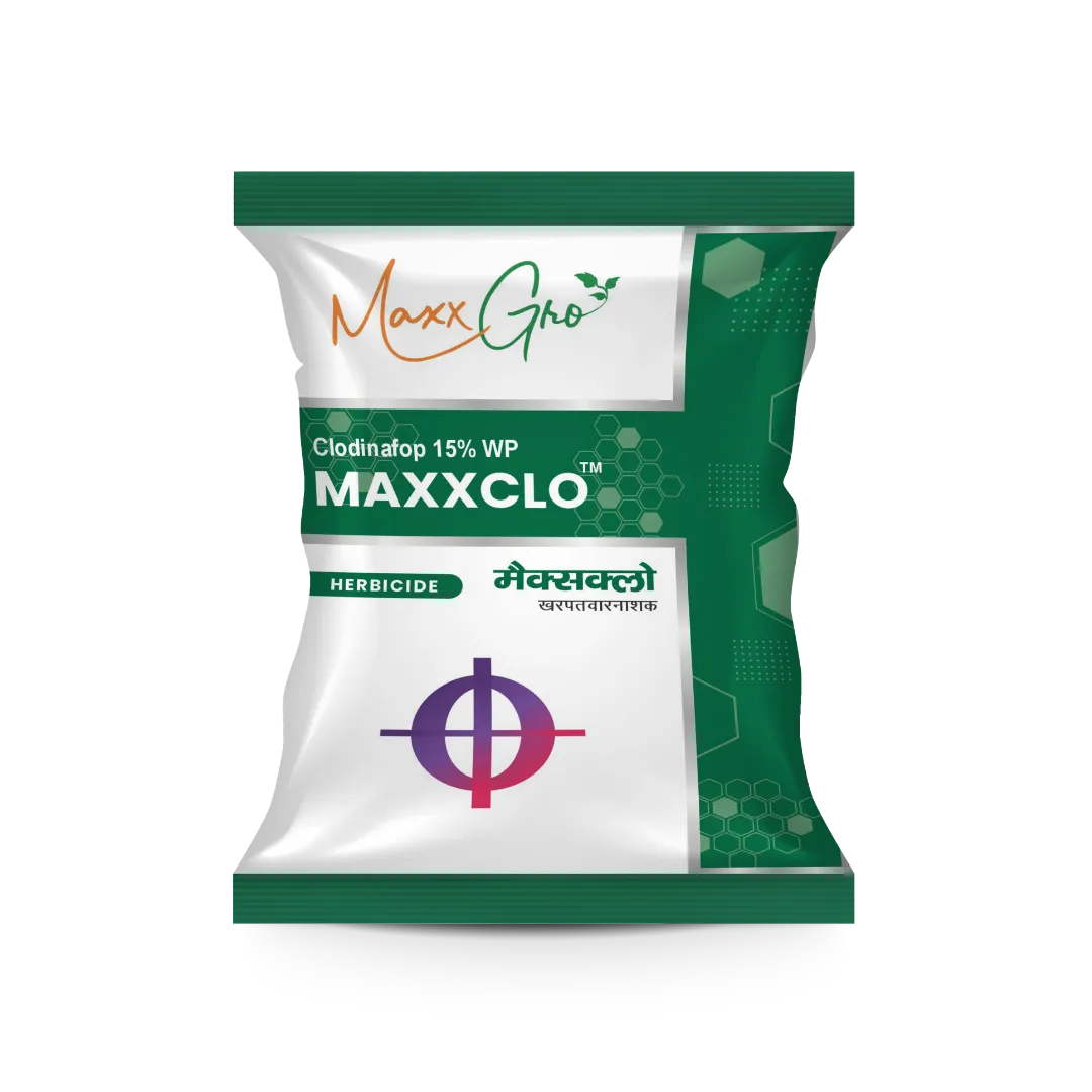 Maxxclo Clodinafop 15% WP herbicide pouch pack by MaxxGro Agrology Limited