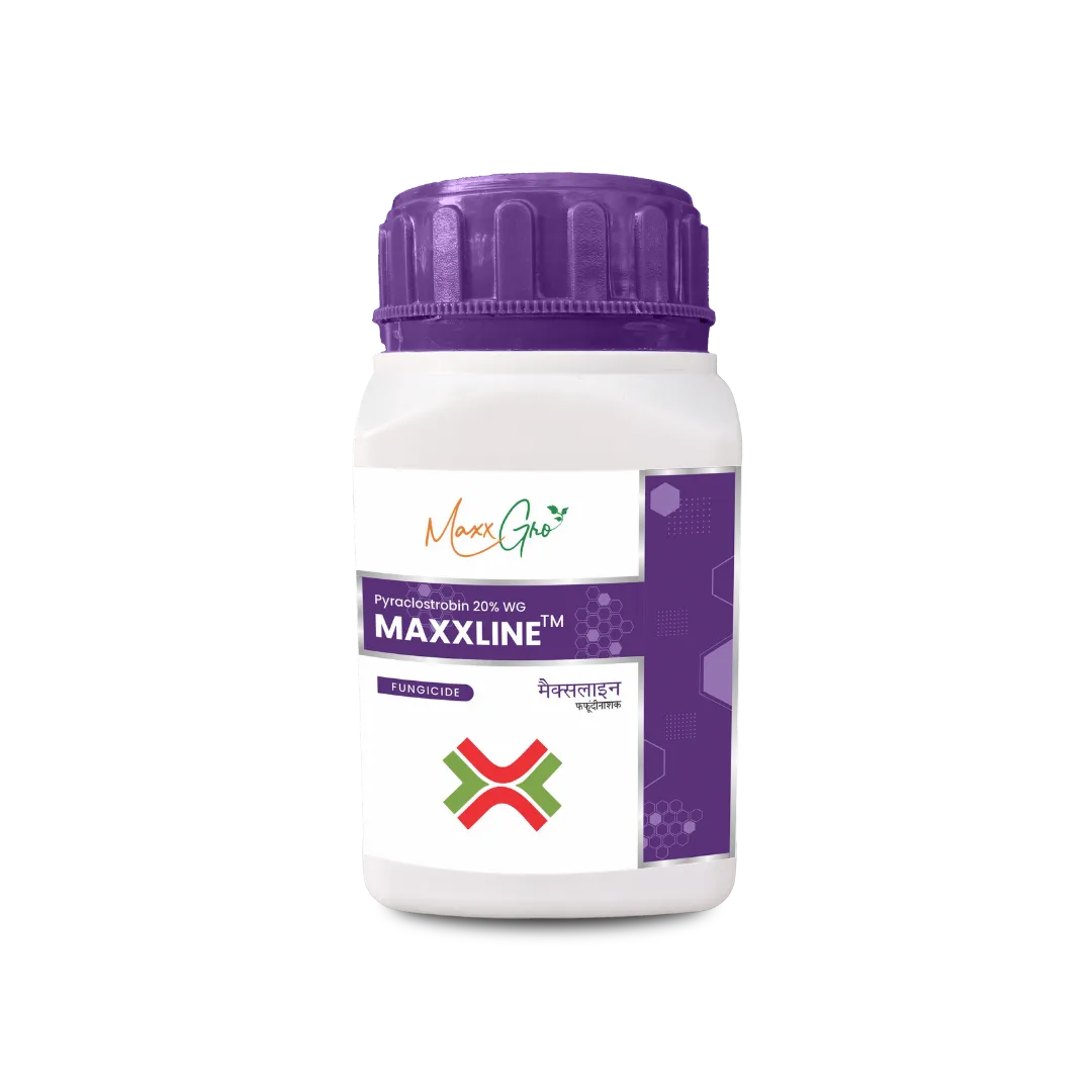 Maxxline Pyraclostrobin 20% WG fungicide jar pack by MaxxGro Agrology Limited.