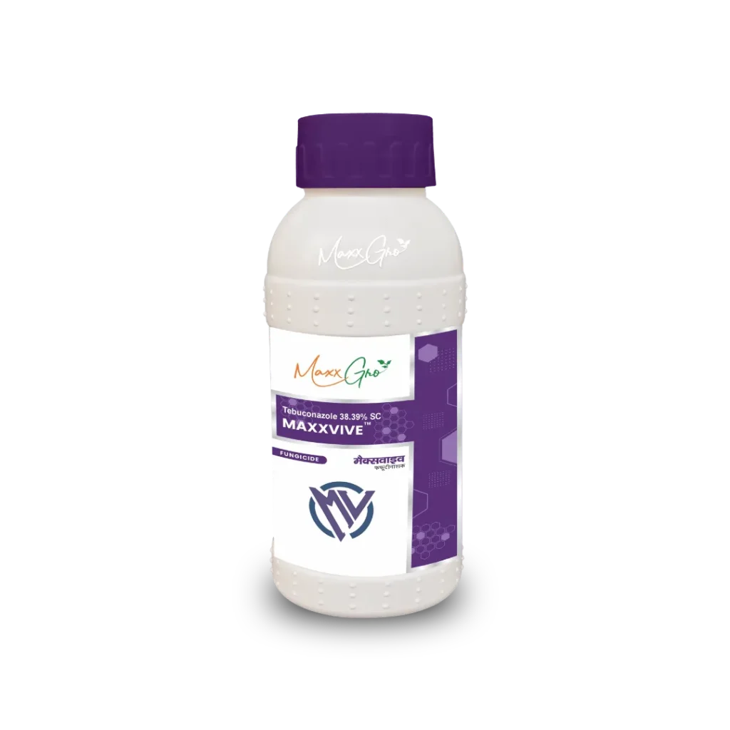 Maxxvive Tebuconazole 38.39% SC fungicide bottle pack by MaxxGro Agrology Limited.