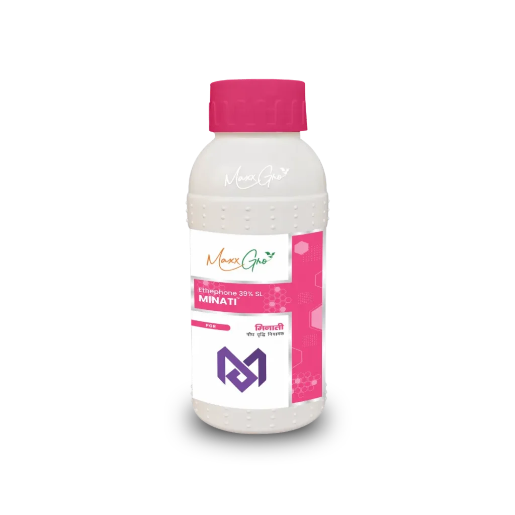 Minati Ethephon 39% SL plant growth regulator bottle pack by MaxxGro Agrology Limited