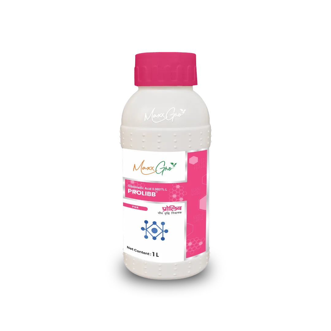 Prolibb Gibberellic Acid 0.001% L plant growth regulator bottle pack by MaxxGro Agrology Limited
