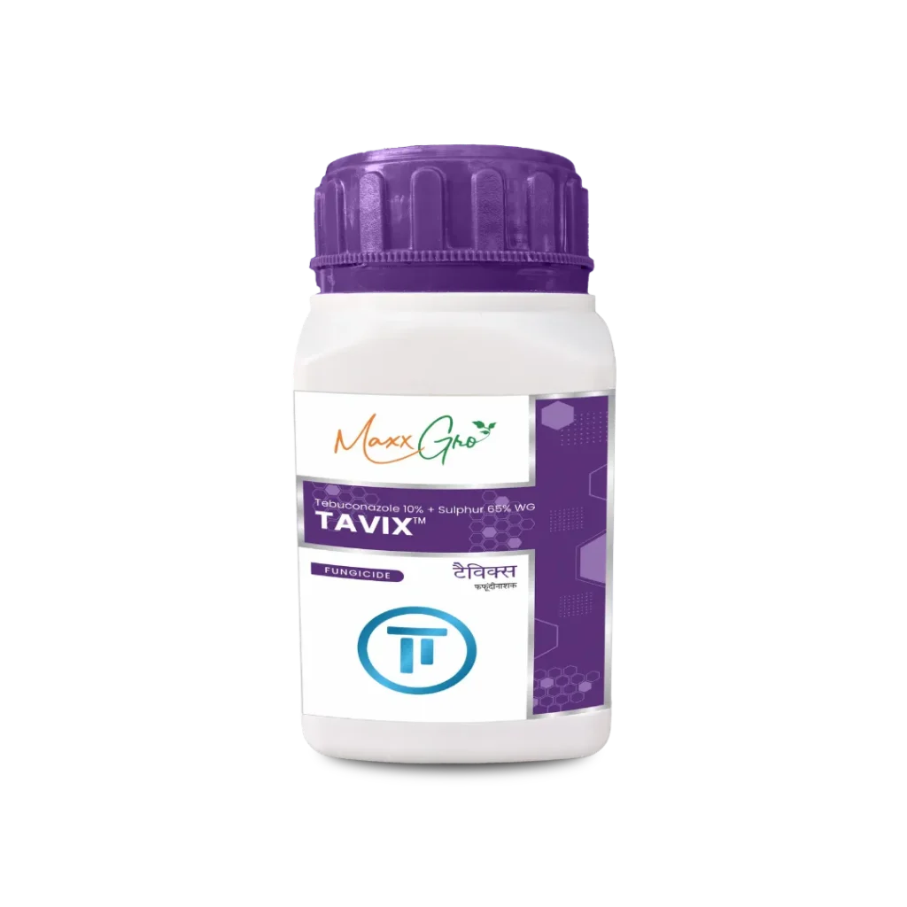 Tavix Tebuconazole 10% + Sulphur 65% WG fungicide jar pack by MaxxGro Agrology Limited